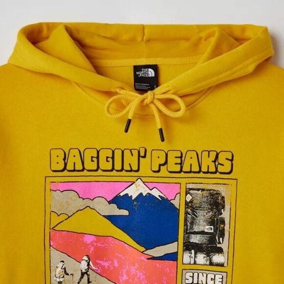 The North Face Places We Love Hoodie Sweatshirt Medium - Picture 2 of 15